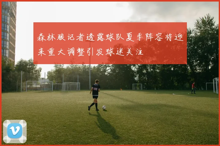 森林狼记者透露球队夏季阵容将迎来重大调整引发球迷关注