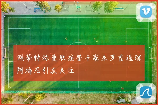 佩蒂特称曼联接替卡塞米罗首选琼阿梅尼引发关注